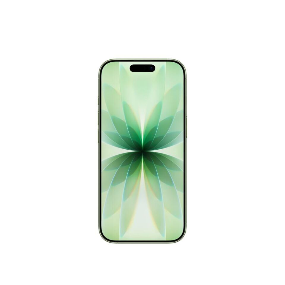Apple iPhone 17 256 GB  (Apple Türkiye Garantili) Adaçayı 256 GB