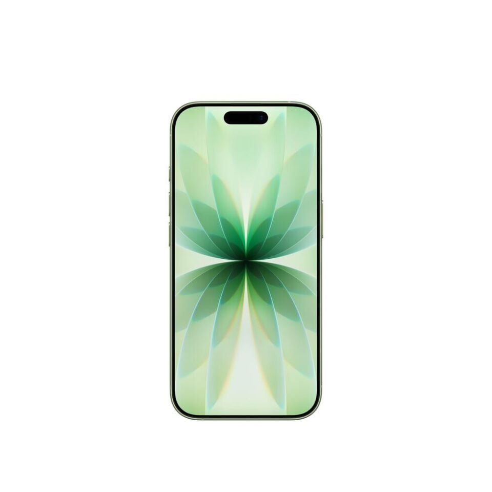 Apple iPhone 17 256 GB  (Apple Türkiye Garantili) Adaçayı 256 GB